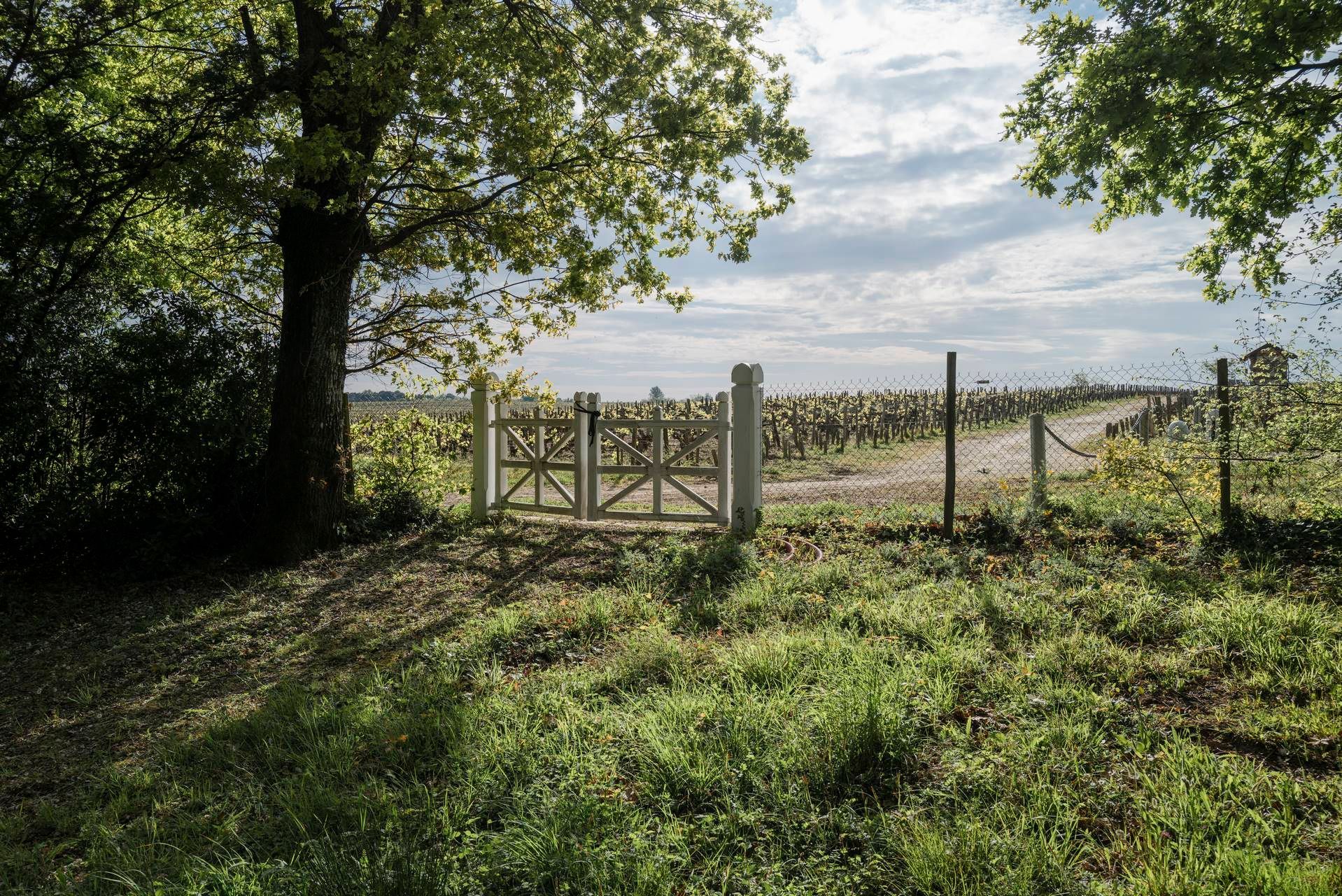 Château Pontet Canet