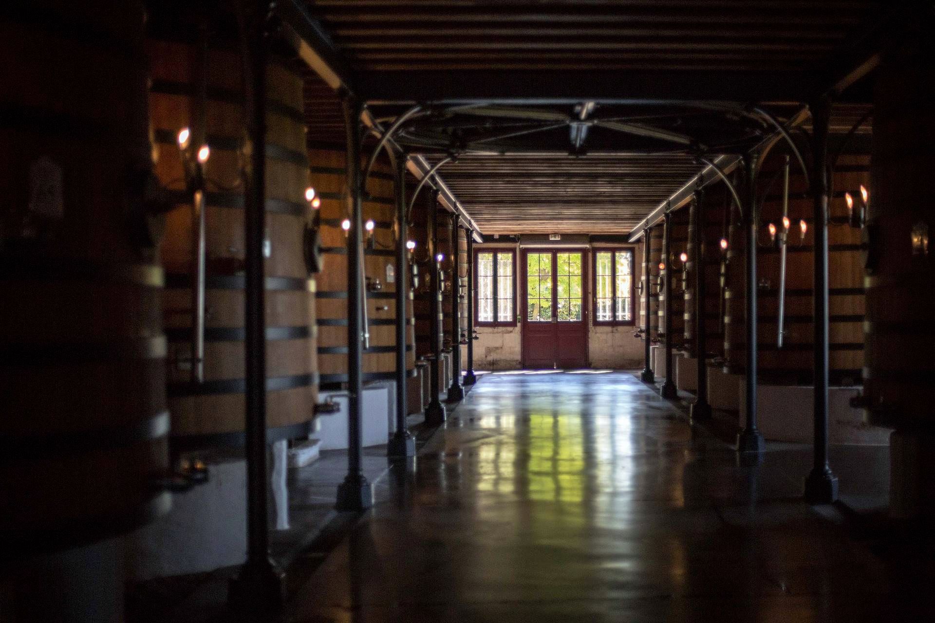 Château Pontet Canet