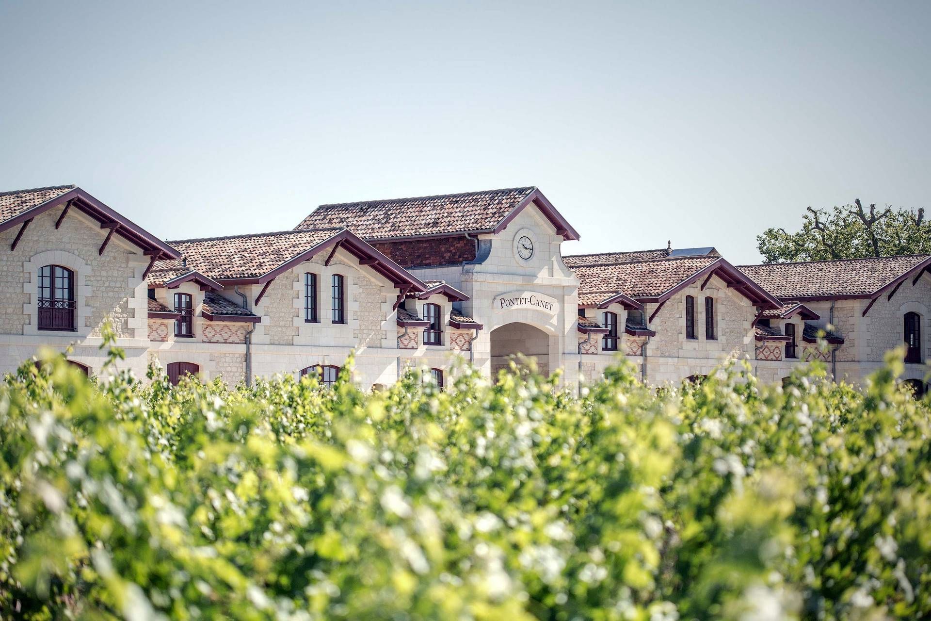 Château Pontet Canet