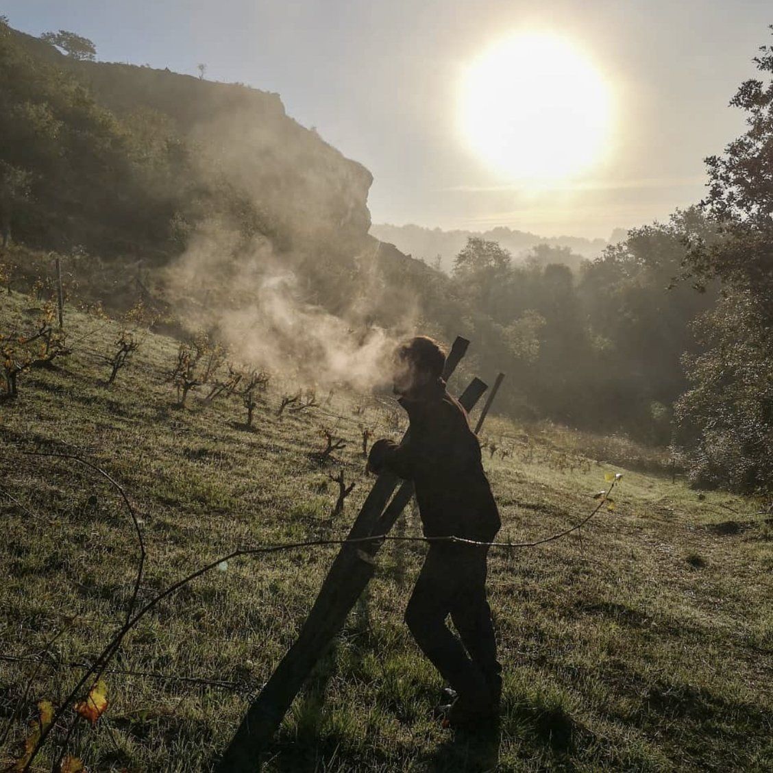 The Barba Boyz preparing and energizing the biodynamic preparations for the vineyards