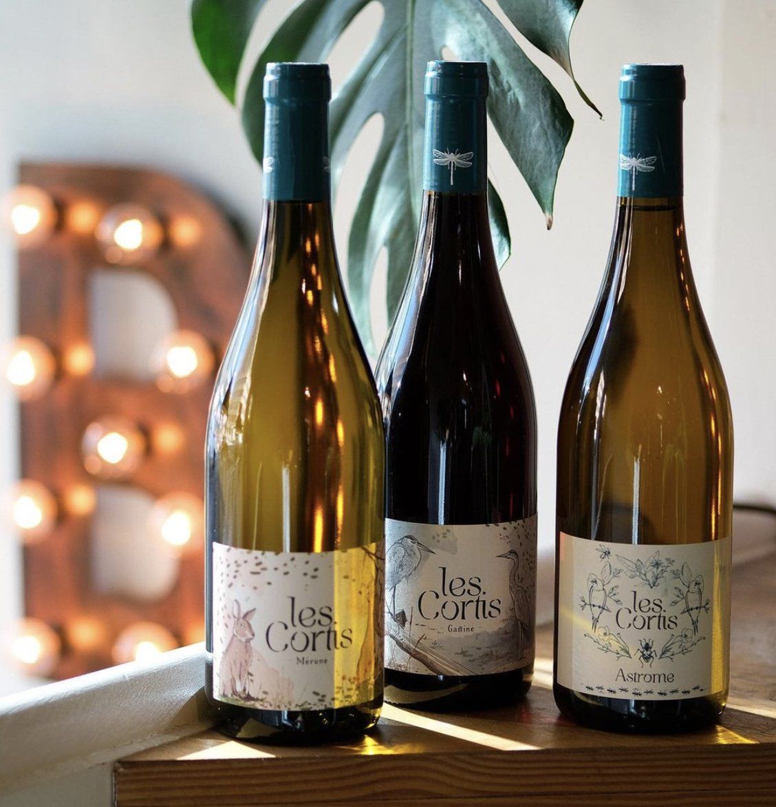 Les Cortis Wines