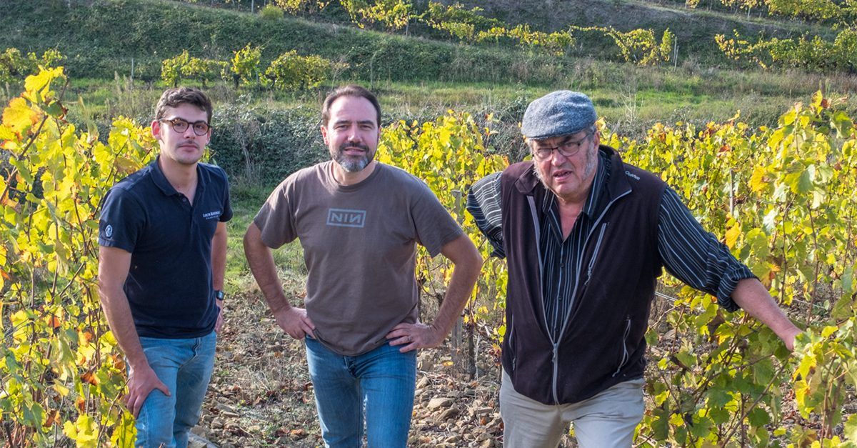 Mssr. Pithon in the Vineyards