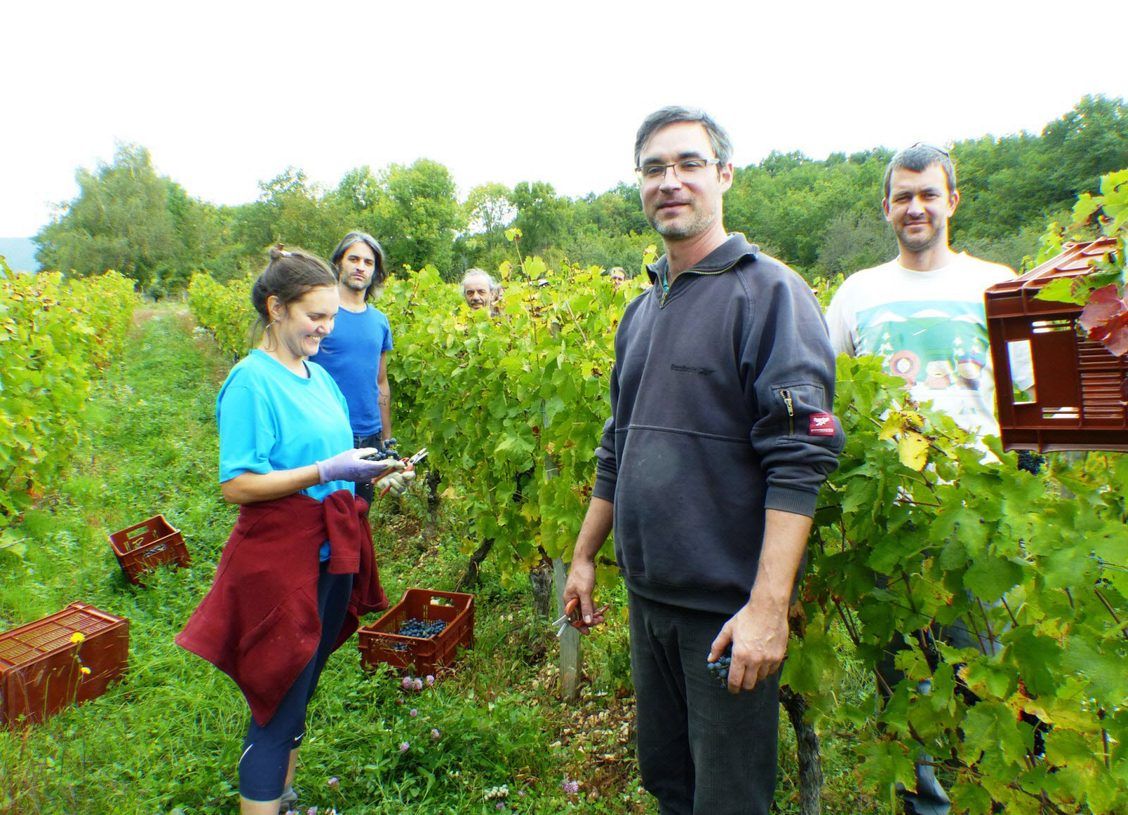Isabel Coiffier & Jeremy Decoster from Les Cortis working in Vineyard