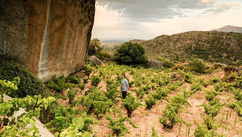 Màquina y Tabla - Oriol Illa in the vineyard