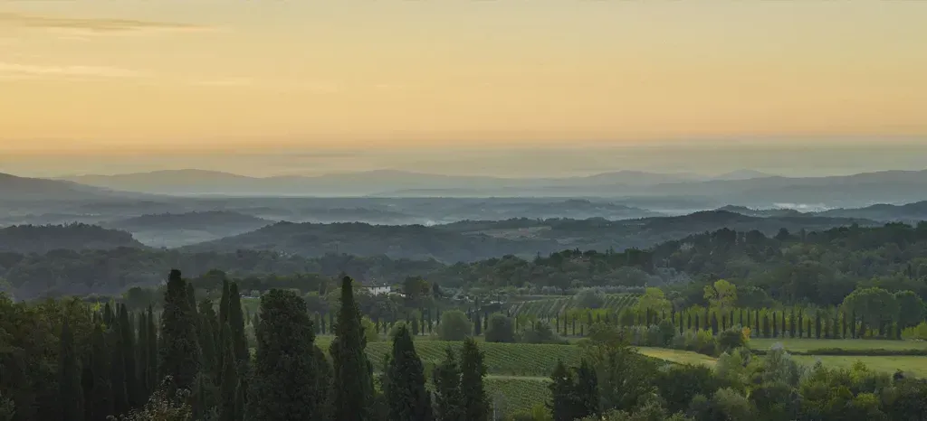 Rolling green hills under a hazy, golden sky; a distant mountain range is visible.