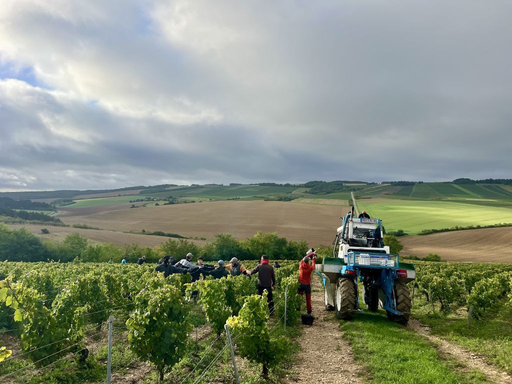 Domaine Bersan