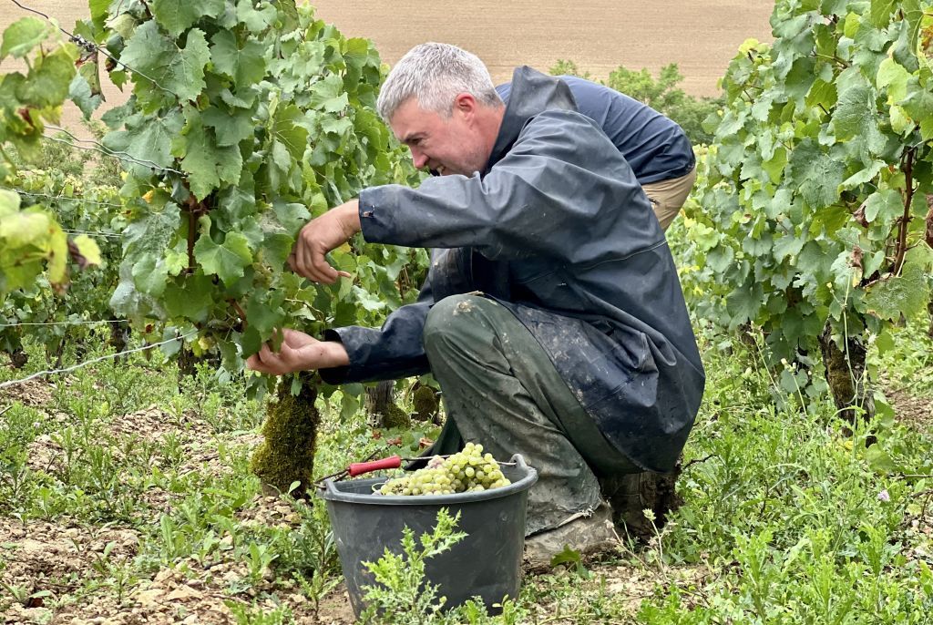 Domaine Bersan