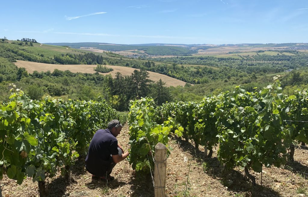 Domaine Bersan