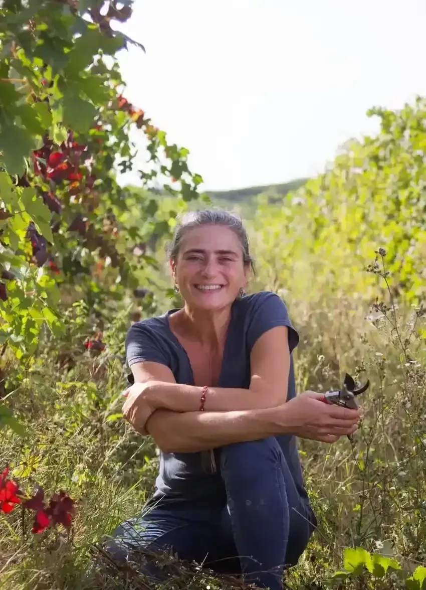 A winemaker crouching among the vines with pruning shears in hand, smiling.