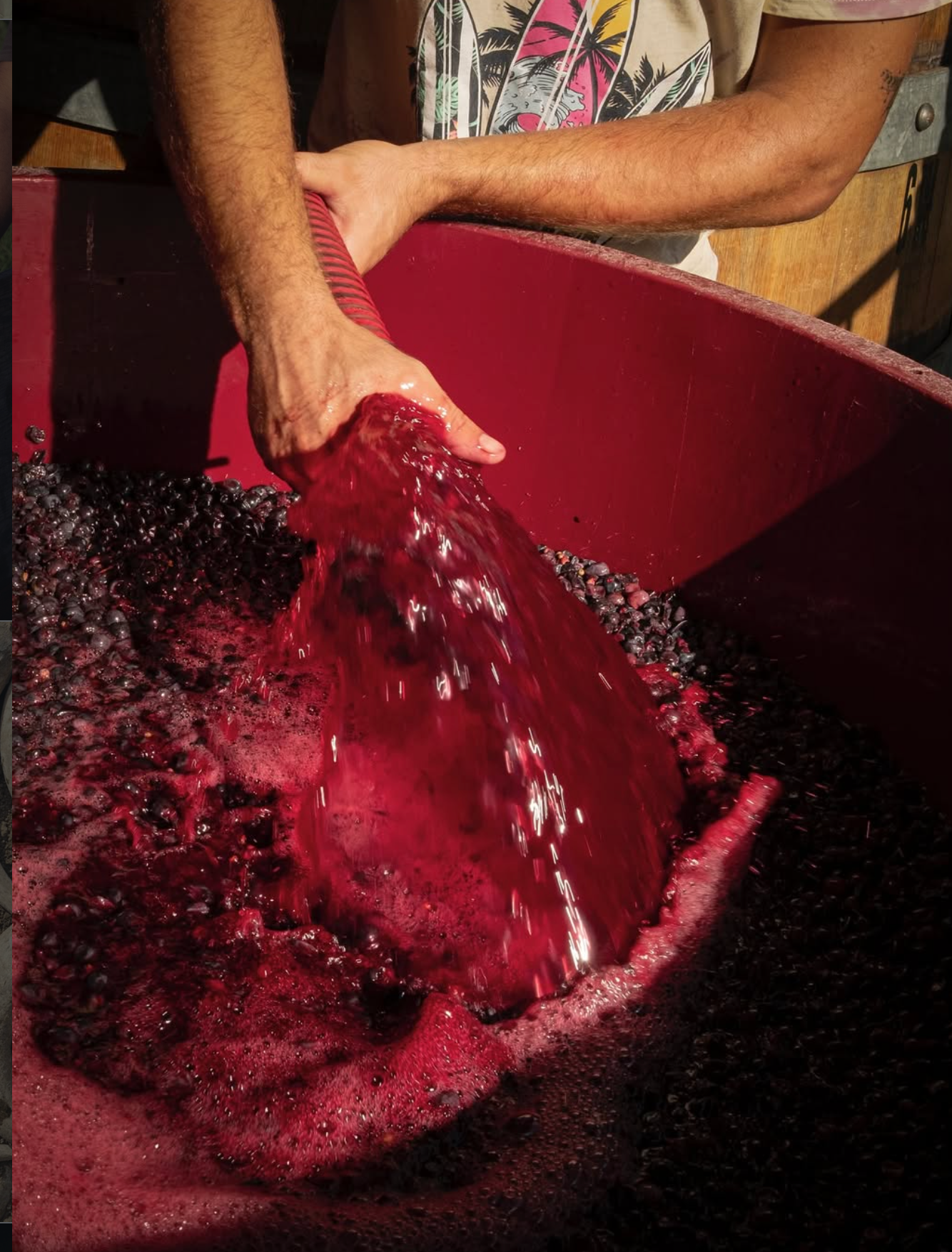 Tenuta di Valgiano