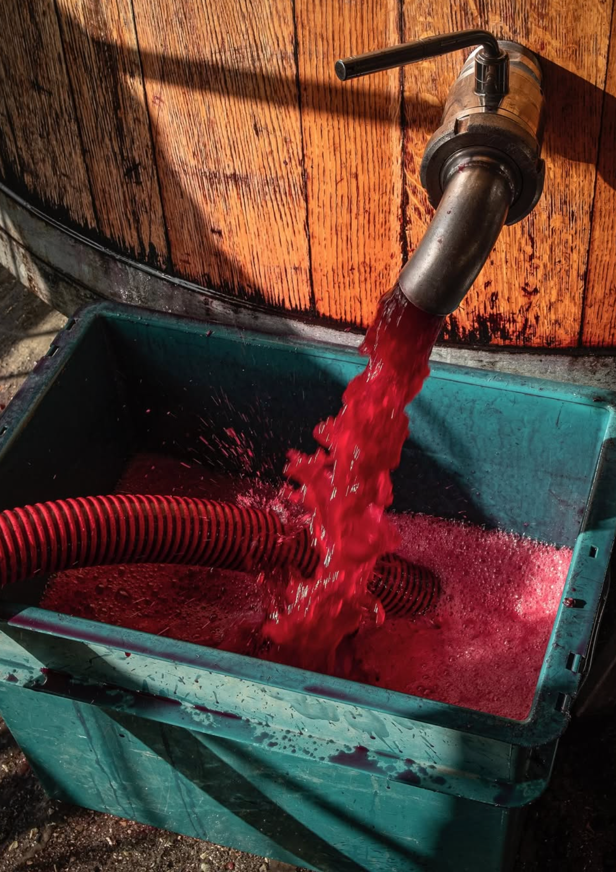 Tenuta di Valgiano