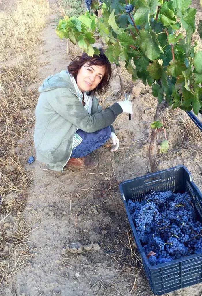 Carmen checking the vineyards