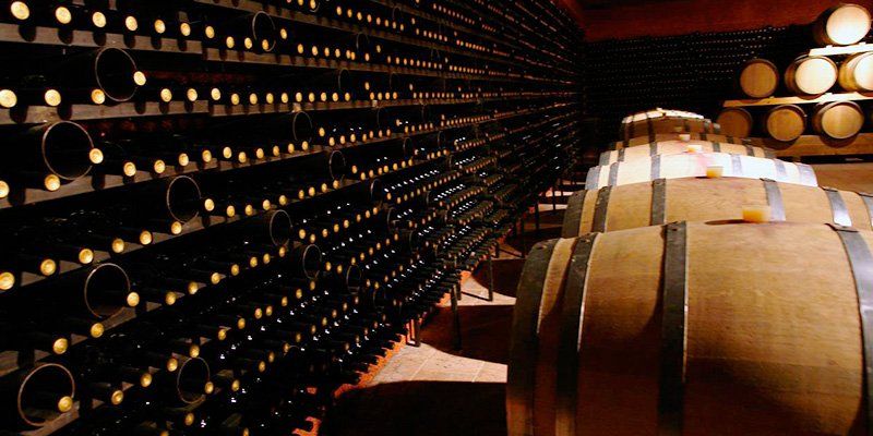 bottles and barrels in a wine cellar